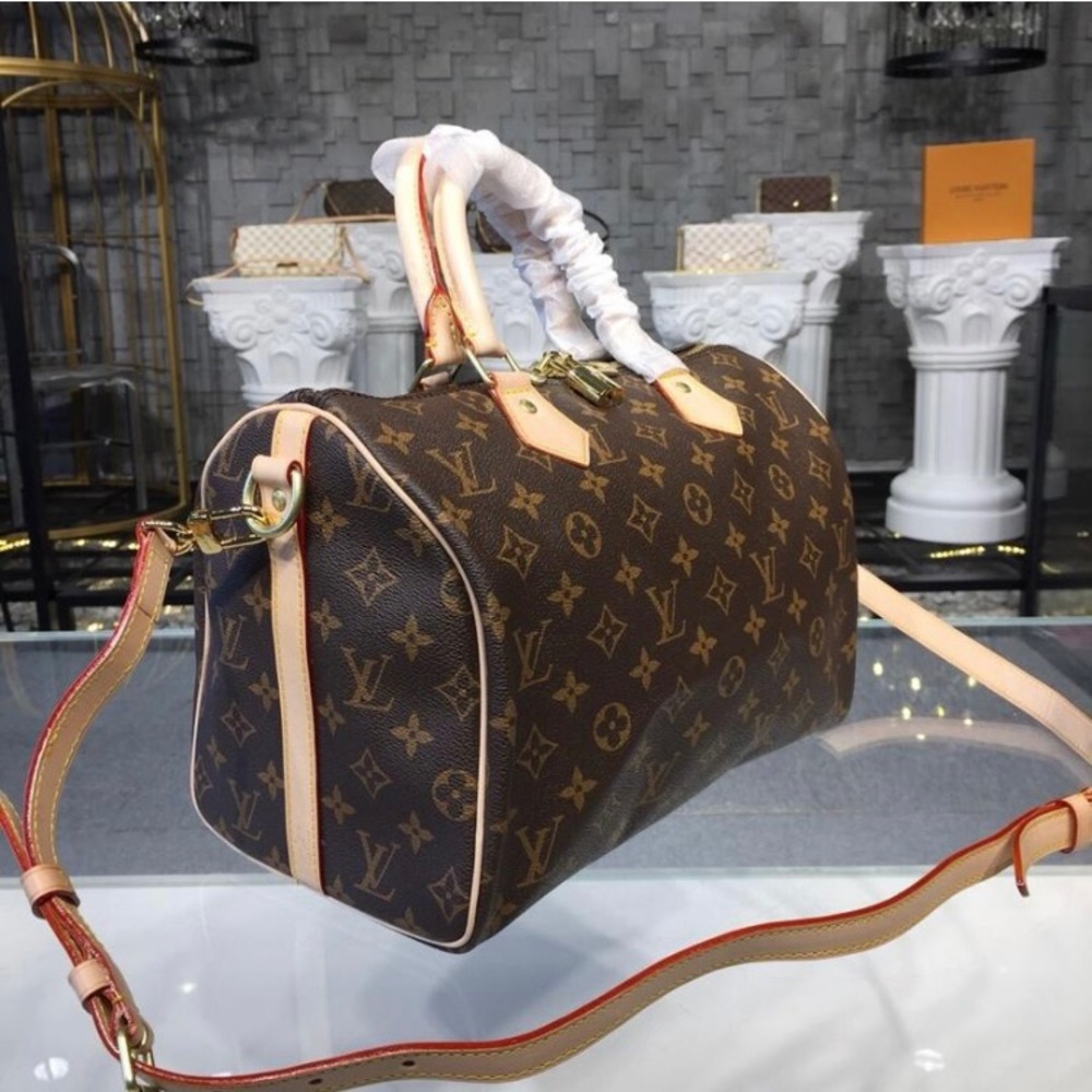 Super cute NEW Louis Vuitton purse😍😍